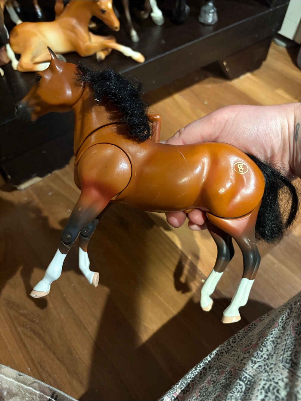 Grand Champion jumping horse